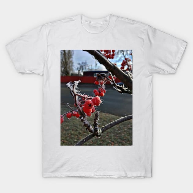 Frosty Mountain Ash Berries on a Cold November Morning T-Shirt by Ric1926